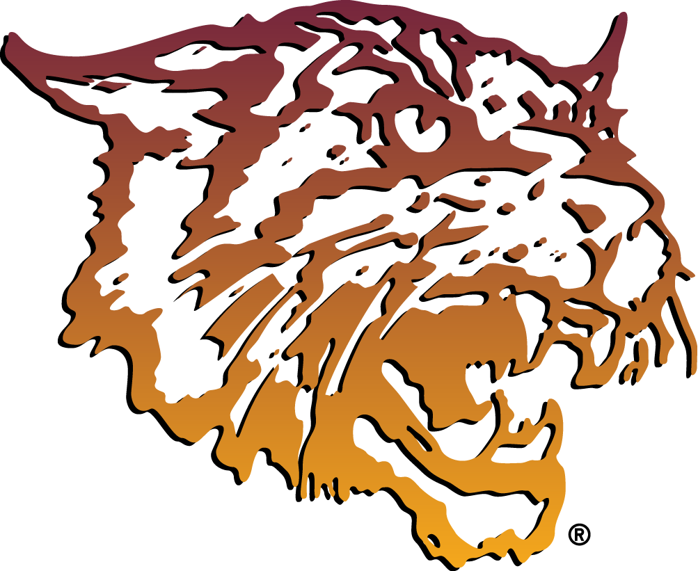 Bethune-Cookman Wildcats 2000-2015 Primary Logo iron on transfers for clothing